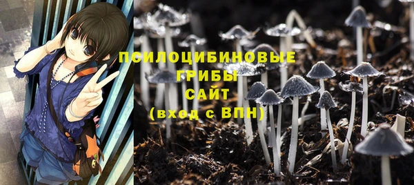 дживик Корсаков