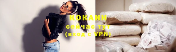 дживик Корсаков