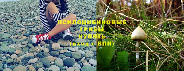 mdpv Коряжма