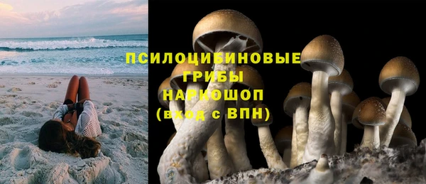 дурь Костерёво